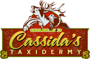 cassidatx1
