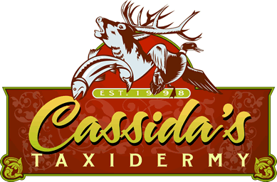 Cassida's Taxidermy logo
